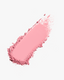 Pale Rose